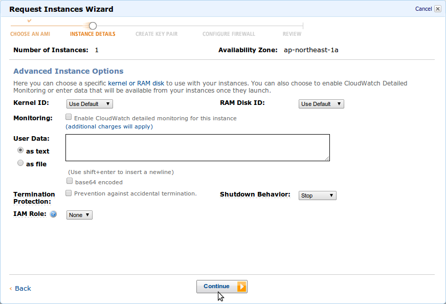 amazon_ec2_launch_instance_instance_details_2